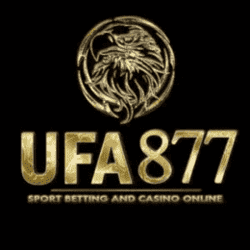 automatic sudoku solver
